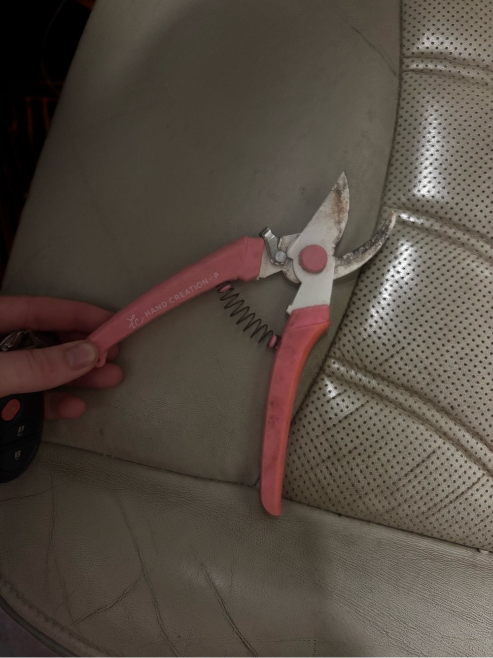 Pink Gardening Pruner